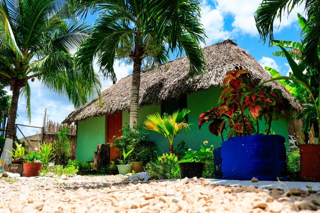 Cabanas Las Palmas バカラル エクステリア 写真