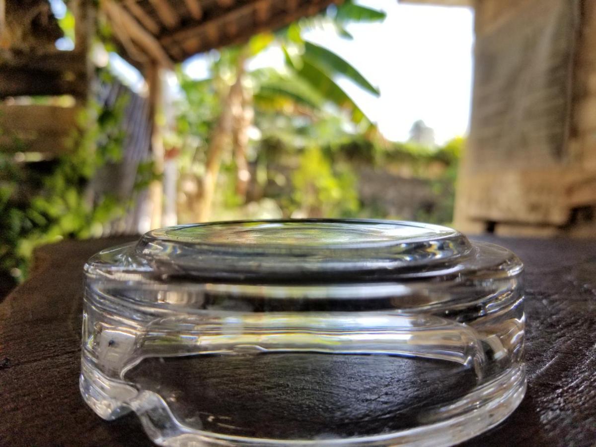 Cabanas Las Palmas バカラル エクステリア 写真