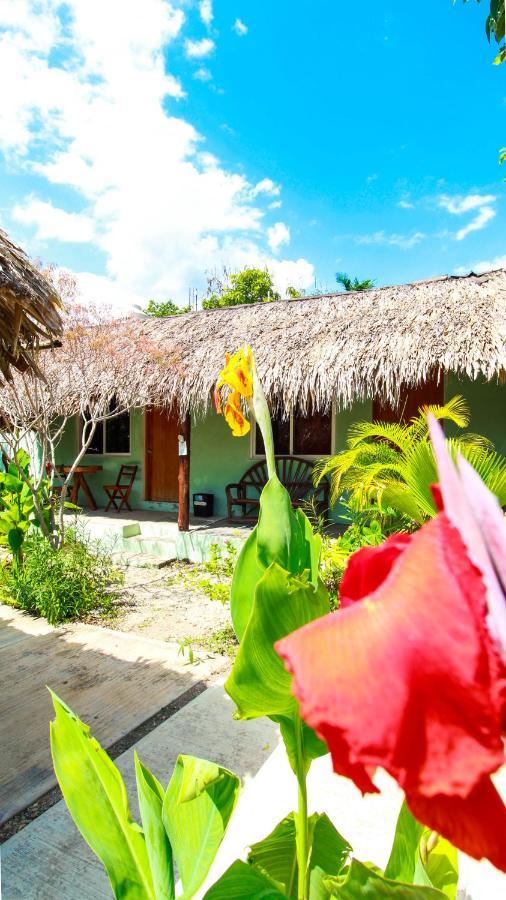 Cabanas Las Palmas バカラル エクステリア 写真