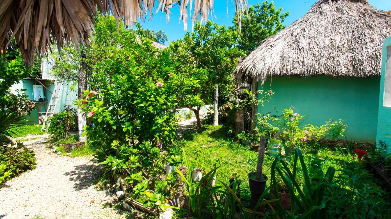 Cabanas Las Palmas バカラル エクステリア 写真